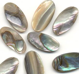  Abalone 18 x 9mm Oval  2 gross for