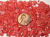 Tumbled Coral Chips.   1/2 pound (approx 1700 pieces) for