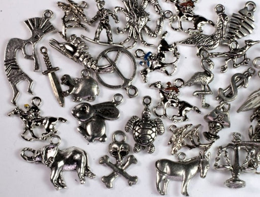 Charm Assortment  50 Pieces For