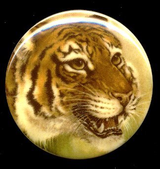 Plastic Limoges  38mm - Bengal Tiger  18 Pieces for