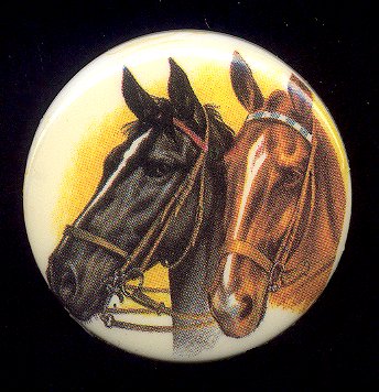 Plastic Limoges  38mm - 2 Horses  18 Pieces for