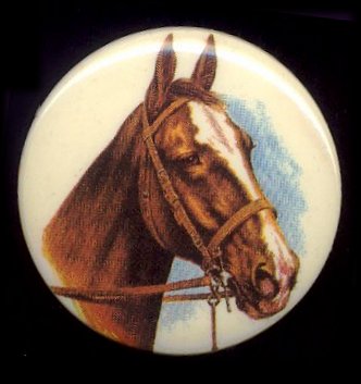 Plastic Limoges  38mm - Horse  18 Pieces for
