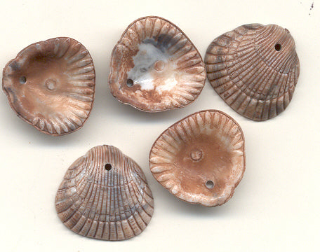 Plastic Sea Shell Charms 2 gross for