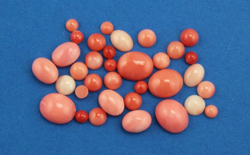 Coral Cabochon Assortment  5 Grams For