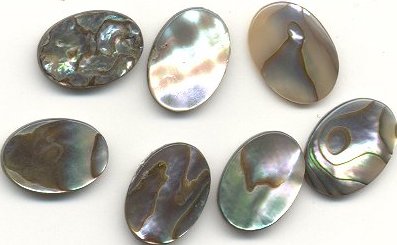 Abalone 14 x 10mm Oval  1 gross for
