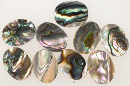 Abalone 16 x 11mm Oval  1 Gross For