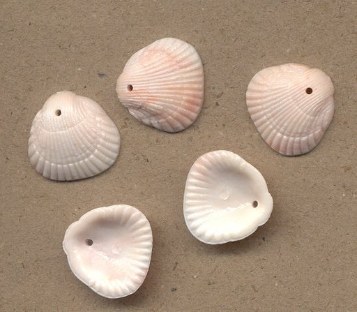 Plastic Sea Shell Charms 2 gross for 