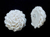 Glass Seed bead Button   25mm  3 Dozen For