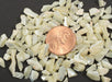 Tumbled Mother Of Pearl Chips   1/2 pound (approx 1700 pieces) for