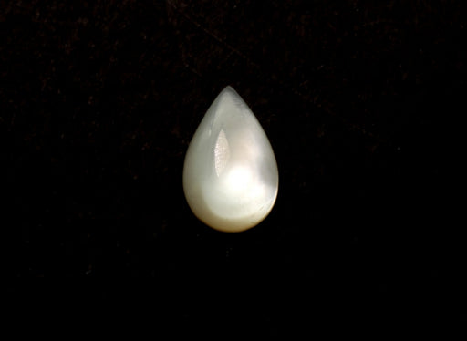 Mother Of Pearl  12.2mm x 8mm  100 For